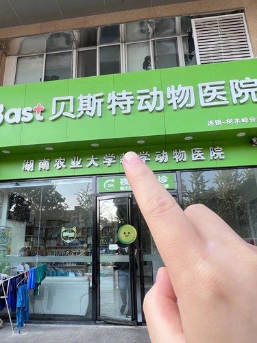 长沙这家宠物医院真的靠谱！！！