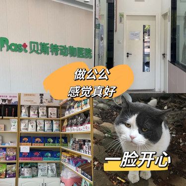 这家宠物医院技术也太牛了吧！猫猫最爱～