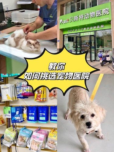 教你怎么挑选宠物医院！！！