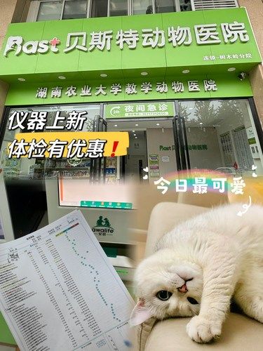 带毛孩子优惠价体验了一把新科技体检