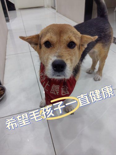 它在对我笑诶～