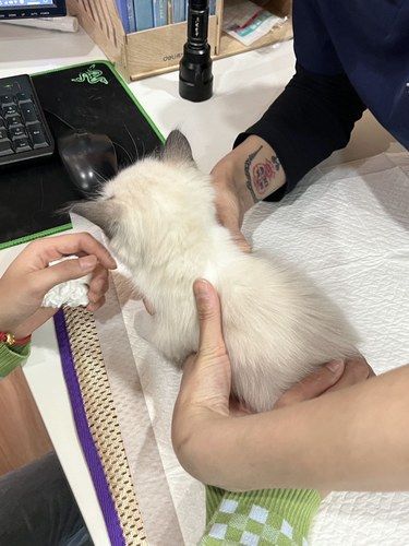 终于找到让毛孩子放心的宠物医院啦