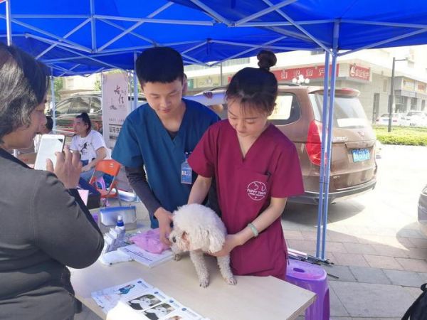文明养犬，活力夏日——2018文明养犬社区行活动预告