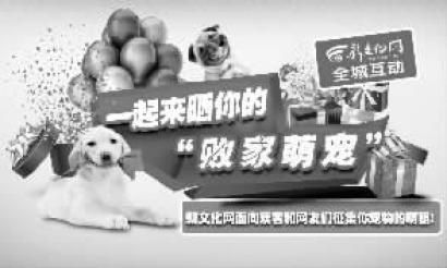 征集宠物萌照晒宠物赢大奖