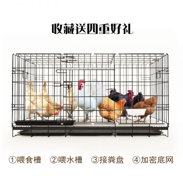 鸡笼子家用大号特大自家养鸡笼自动清粪大型加密养殖笼米妮窝鸭笼铁丝网(2Z3) L-长85x宽60x高70cm适合5只内 黑色收藏送四重好礼