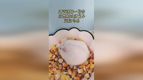 虽小事情讲究起来还真不少