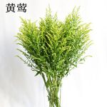 【配草黄莺】昆明基地现采黄莺配草批发 家居婚庆插花鲜切配叶