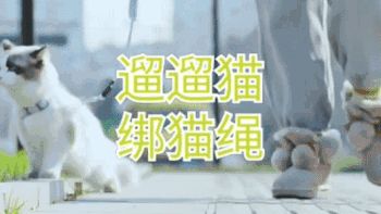 走吧，一起去遛个猫/喵星人大作战/猫咪牵引绳防挣脱外出专用猫绳子宠物背带链子可调节网红遛猫绳