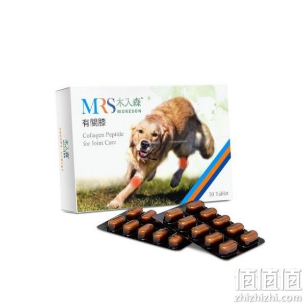 MORESON 木入森犬宝有关膝