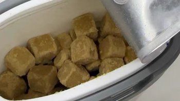 守护宠物健康