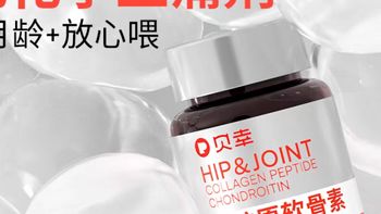 三伏天，宠物也要补充营养！
