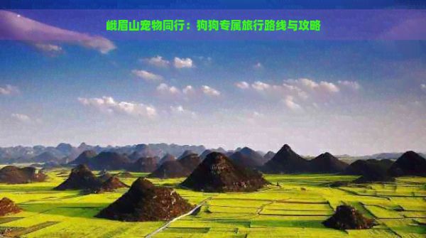 峨眉山宠物同行：狗狗专属旅行路线与攻略