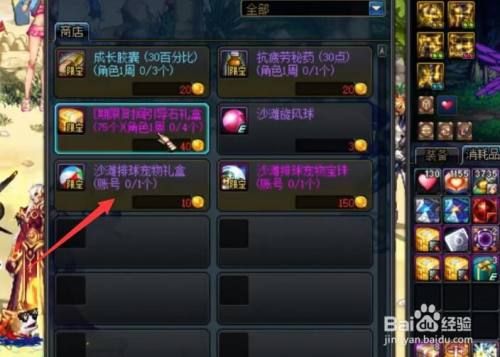 DNF沙滩排球宠物礼盒怎么获得