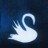 Swan*占星塔罗