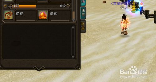 寻仙如何捕捉宠物