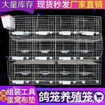 批发麓f鸽子笼子养殖笼家用配对鸽笼12位种鸽子繁殖笼16位肉鸽养