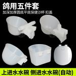 鸽子饮水器鸽笼用自动饮水器信鸽子上进水碗沙杯保健砂杯鸽用批发