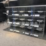 昌润鸽笼源头工厂批发3层12位大号全自动鸽子笼养鸽厂专用肉鸽笼