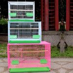 厂家批发铁艺小中大号群鸟笼鸽子笼兔笼子养殖繁殖笼子