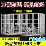不锈钢铁笼鸽子笼大空间繁殖笼鸟笼鸽子笼子大号加密配对家用批发