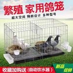 鸽子笼家用养殖笼鸽子配对笼大号鸽子笼家用带隔断繁殖养殖鸽笼清