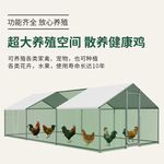鸡笼子鸡棚家用养殖笼鸽笼大号特大孔雀养鸡笼子防老鼠蛇搭建户外