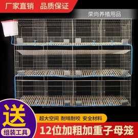 兔子养殖场专用笼加粗12位24位大型子母笼种兔笼子成年兔舍养殖笼
