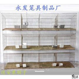 兔笼养殖场加粗9位种兔笼子12位子母养殖免清粪猫咪宠物繁育