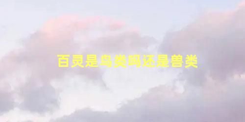 百灵是鸟类吗还是兽类