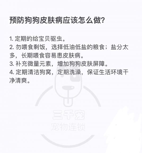 【爱宠小课堂】—— 怎样预防狗狗得皮肤病?#科学养宠攻略 #养狗经验分享 #萌宠出道计划 #狗狗 #经验分享