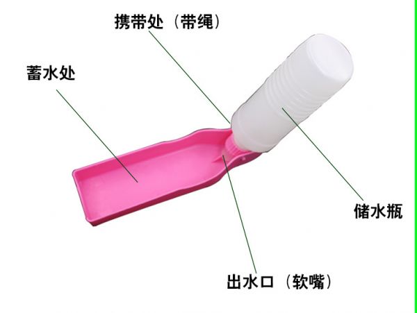 宠物饮水器狗狗户外出便携水壶宠物喂水器宠物用品500ml/300ml详情15