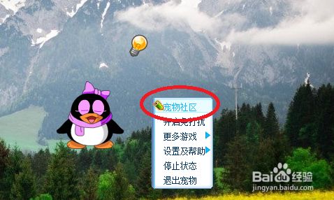 QQ宠物中进入游戏任务的几种方式