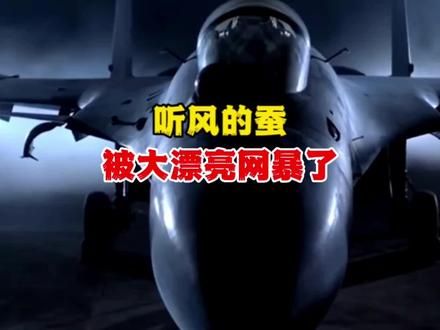 听风的蚕被大漂亮网暴了 而且还是三计连环 树上开花 借刀杀人 釜底抽薪 #听风的蚕 #电子战 #海哥和你说