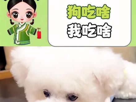 以前我吃啥狗吃啥，现在狗吃啥我吃啥，狗吃的配料表比人的干净 #离谱 #宠物 #食品安全