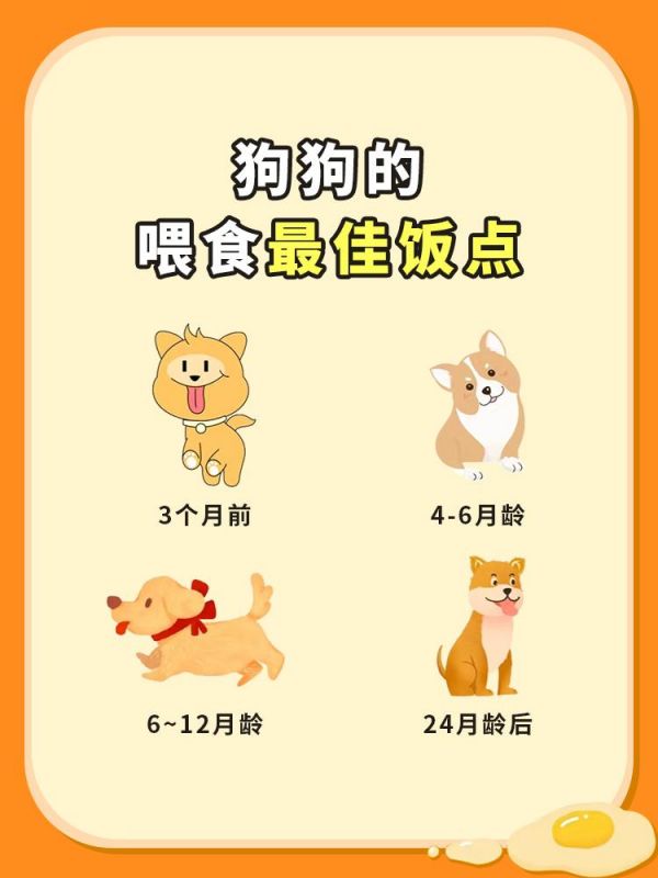 狗狗的最佳饭点。科学养宠，教狗狗好的进食习惯，改变狗狗饮食习惯，有一个好的喂饭时间！ #狗狗的心思都写在脸上了 #科普一下 #萌宠出道计划 #科学养宠攻略 #动物的迷惑行为 @DOU+小助手 @抖音热点宝 @DOU+上热门