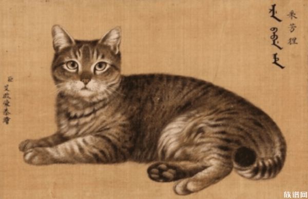 古代也有猫咪市场？古代宠物店主营哪些业务？