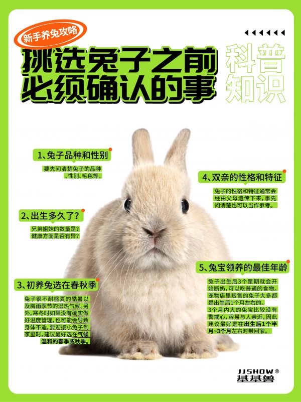 第13集：挑选兔子前必须确认的事！。#科学养兔 #兔子 #兔兔这么可爱 #萌宠 #萌宠出道计划