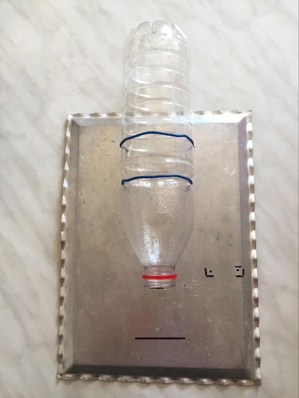 automatic pet feeder