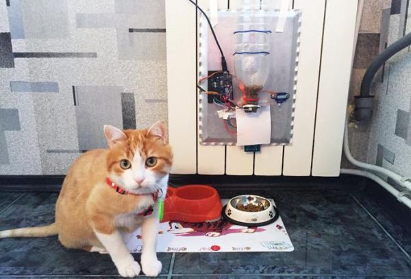automatic pet feeder
