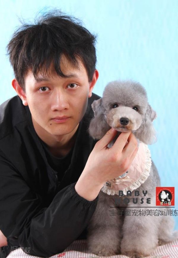 宠物幼犬师培训