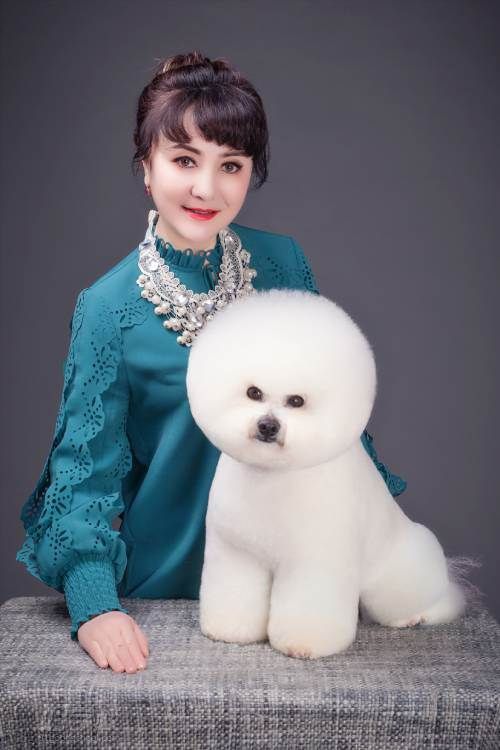 师资力量