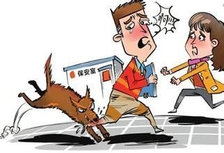 如何预防被狗咬？