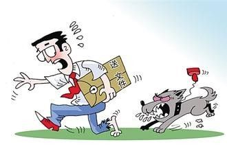 如何预防被狗咬？