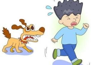 如何预防被狗咬？