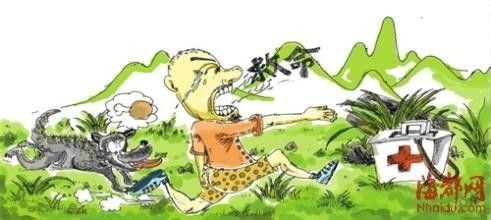 如何预防被狗咬？