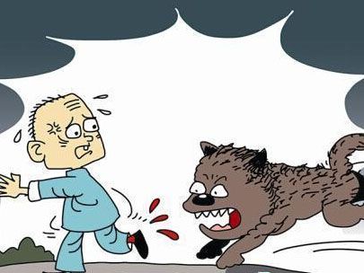 如何防止被猫狗等动物意外咬伤抓伤？