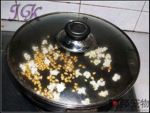 怎样制作仓鼠美食之爆米花