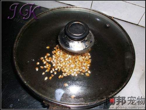 怎样制作仓鼠美食之爆米花