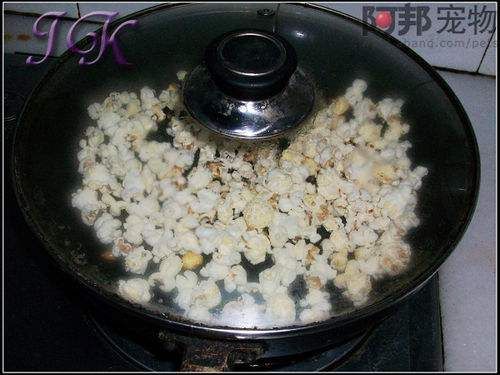 怎样制作仓鼠美食之爆米花