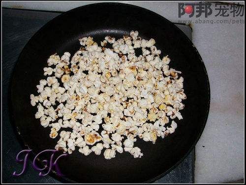 怎样制作仓鼠美食之爆米花